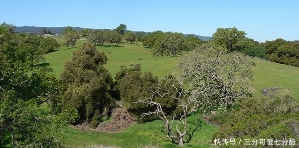美国房价最贵的那些小镇,让普通人望而却步