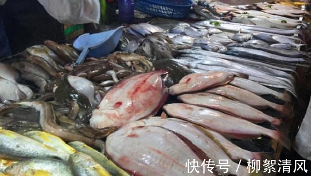 清蒸鲈鱼|上市场买鱼,这3种才是“营养首选”!一说名字老板便知你是行家!