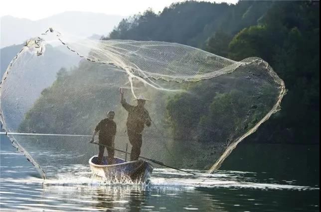 示范点|微改造精提升！云和投入8000万元提升35个旅游业示范点