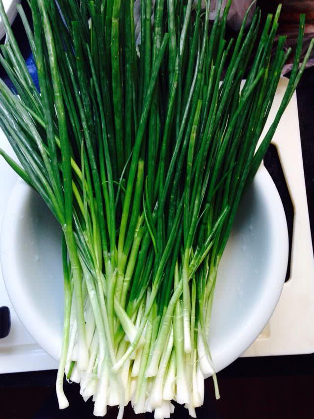 阳台|阳台小葱，又细又黄教你一招，根根粗壮，一抓一把吃不完！