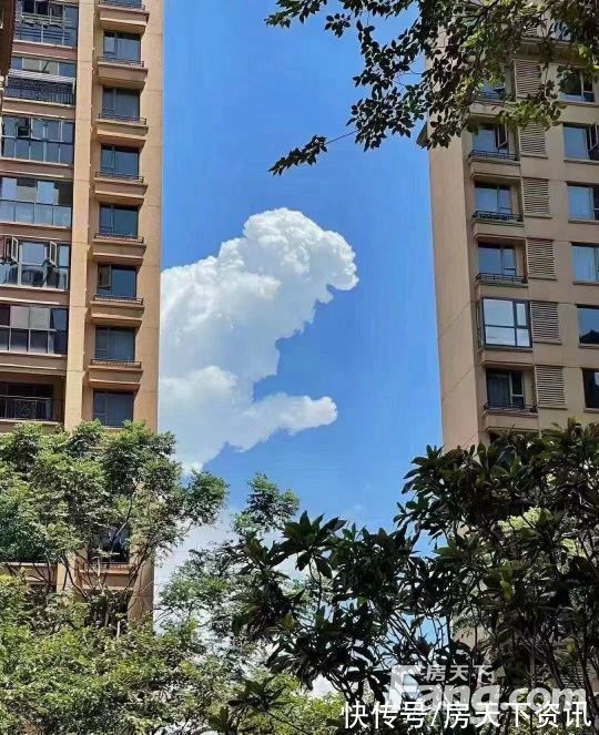 项目|从万科·公园里现场发来一条项目新消息,请查看