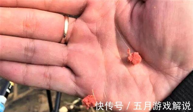 别再说立冬后不适合夜钓!主要方法要做对