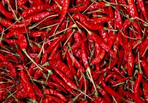 辣椒|肺结节患者不能吃辣椒？医生：要想肺部安稳，3种食物可多吃