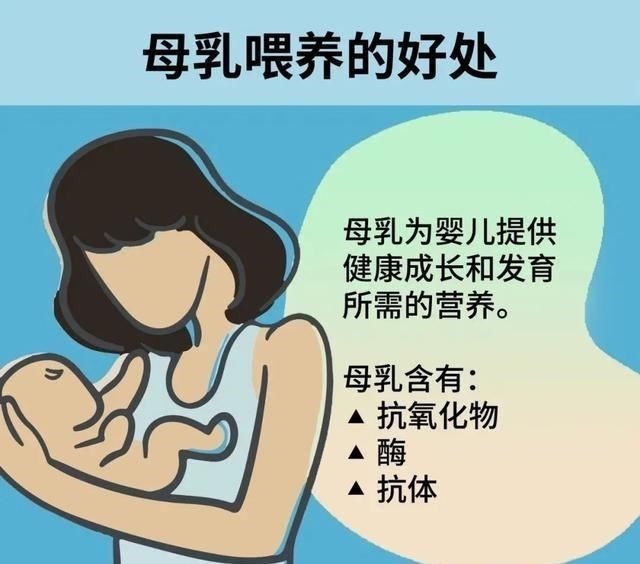 营养物质|世界母乳喂养周母乳喂养相关知识,一篇全知道