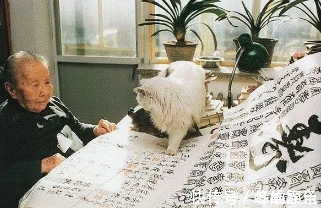 徐志摩@被鲁迅瞧不起,被林徽因怼,为何同时期的文人,都讨厌冰心?