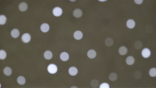 中年|时空隧道、光与夜之街……这段静安区超美滨江大道亮灯啦