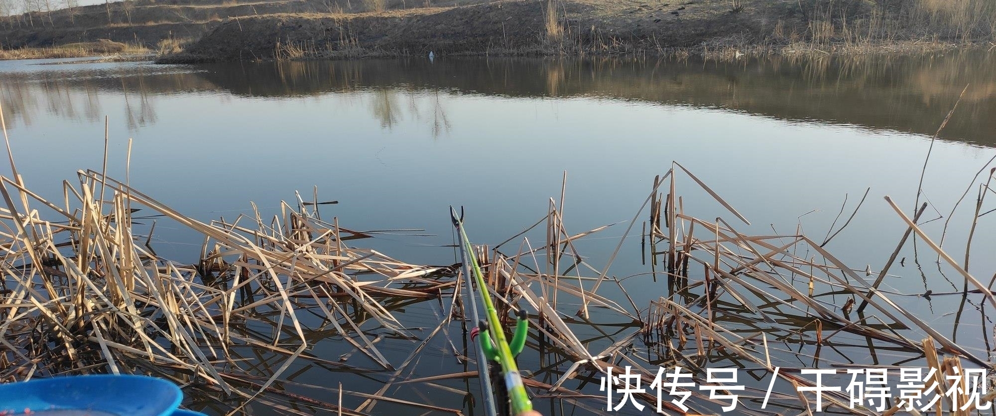 鱼类|冬季鲫鱼晒太阳不咬钩，换饵，换漂皆无用，别瞎折腾了用这招吧