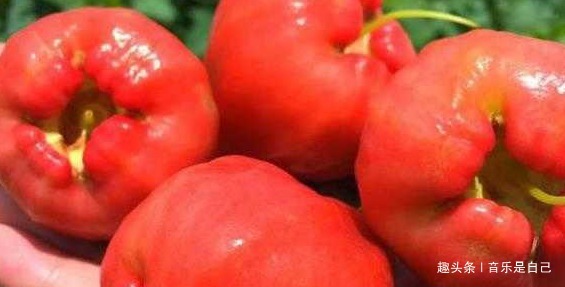 增强免疫力|女人想皮肤好,4种食物要多吃,滋阴补阴,祛皱淡斑,增强免疫力