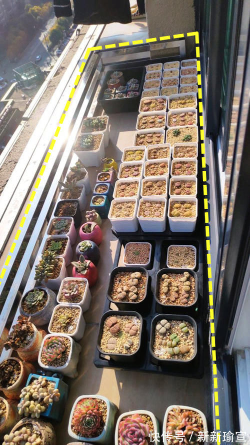 阳台|房子买在腰线层，阳台外面腰线宽50公分，比别的户型晒东西更方便