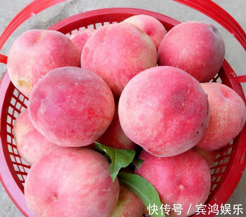 果蔬菜|想身体变好,三种食物多吃点,常吃延缓衰老,滋补身体,身材完美