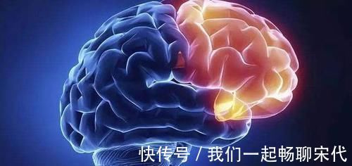 宝宝|胎儿大脑有3次发育“高峰”,孕妈2种营养不能少,宝宝出生更聪明