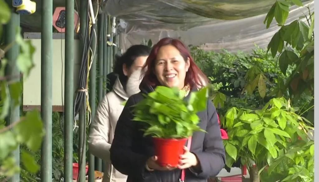 春天在传递幸福的花房里