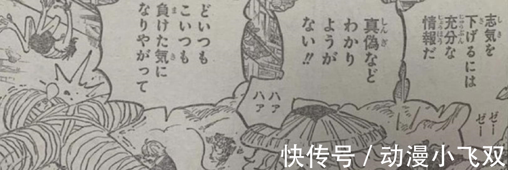 草帽团|海贼王1015话：山治使用索隆，锦卫门牺牲