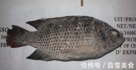 食肉鱼|宝宝吃鱼更聪明?这7种鱼,一口都不能给宝宝吃!