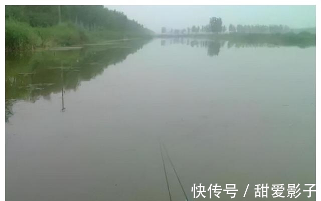 鱼儿|阴天出去垂钓,这几点做好了,渔获想少都难
