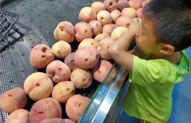 桃子|熊孩子把超市桃子全都戳上一个洞，网友真是妈妈的好“帮手”