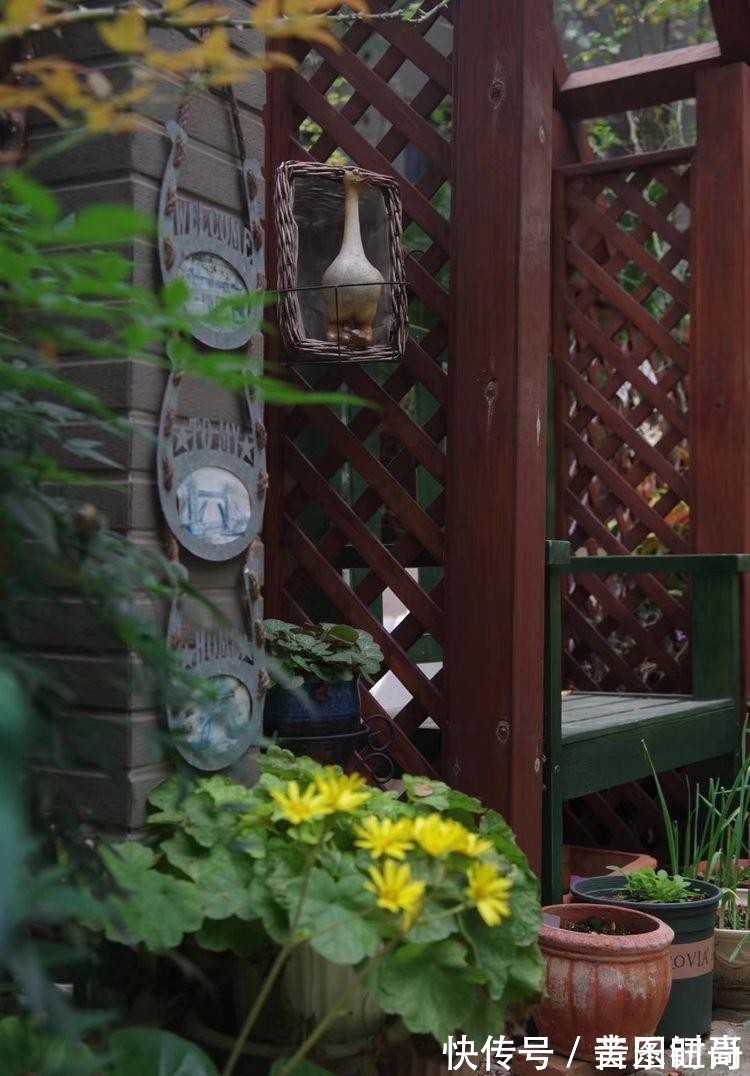 花园|荒废多年的80㎡小院,2年半时间打造成下沉式花园,太漂亮了!