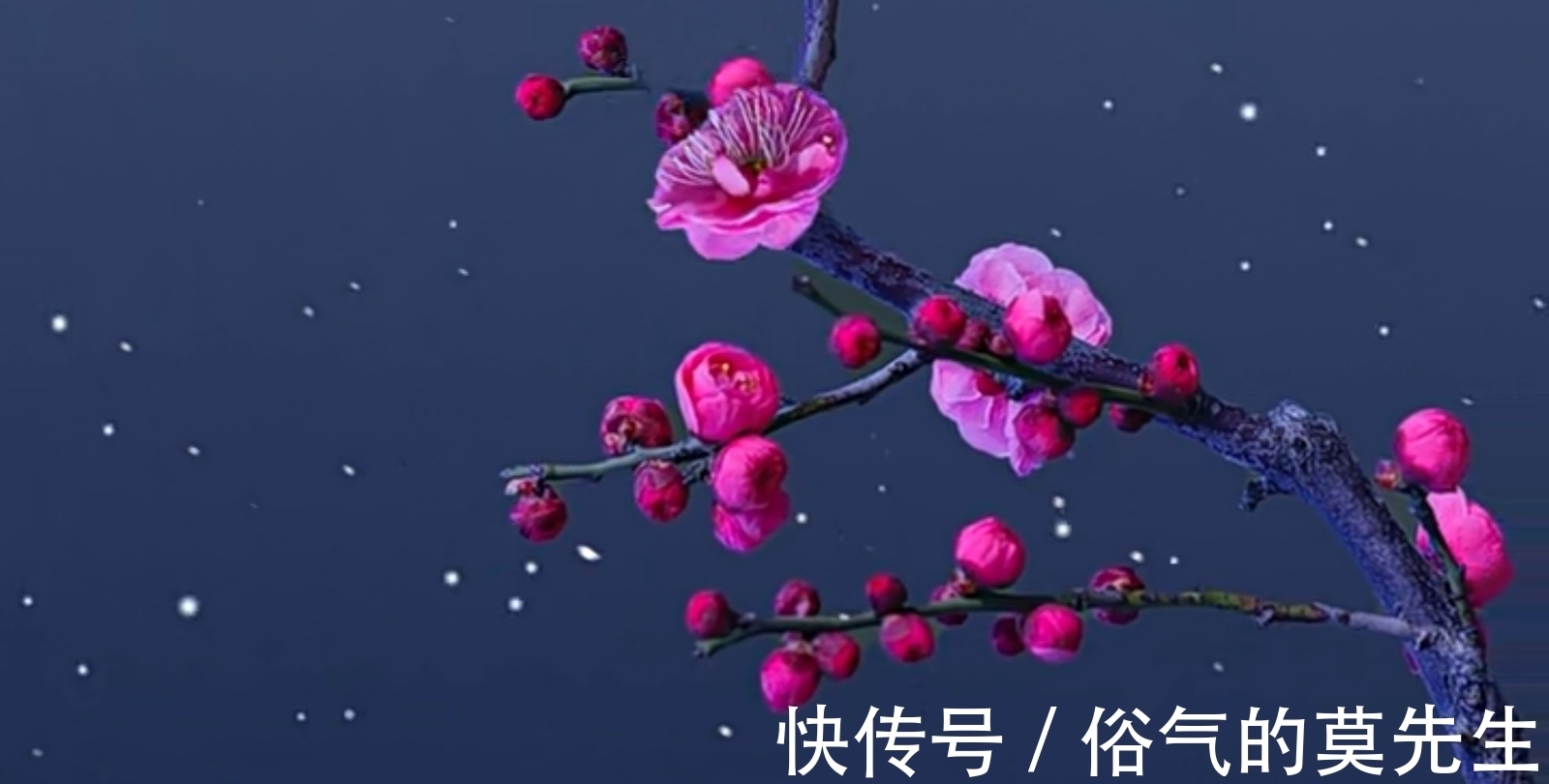 除夜@才华不输李清照的朱淑真，作《除夜》迎接新年，孤高自赏年味浓