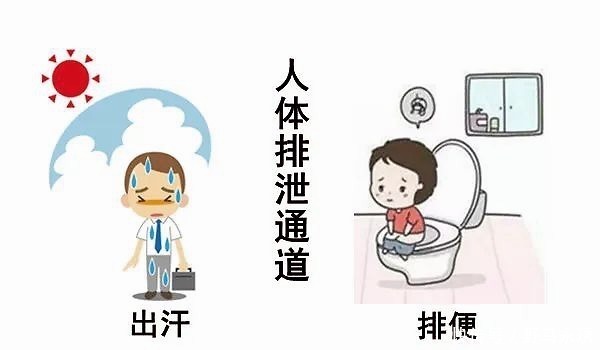 元气|大白话说中医第一百一十八期体寒肝虚要抓主因，先调便秘全身受益！