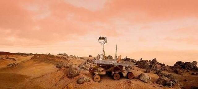 火星探测车新发现：疑似拍下一只“海豹”，NASA似有隐瞒