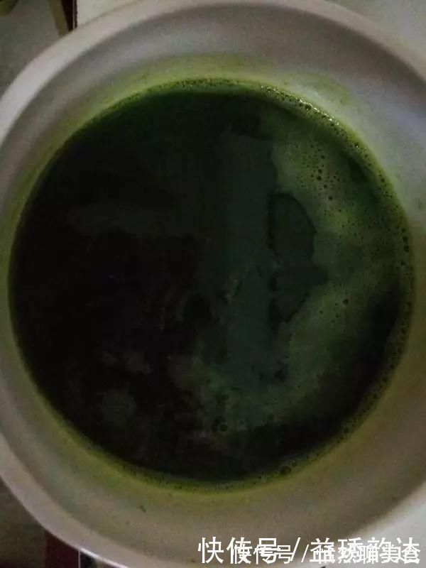 用它包饺子,比韭菜好吃,比包子好看,鲜嫩味美香气十足