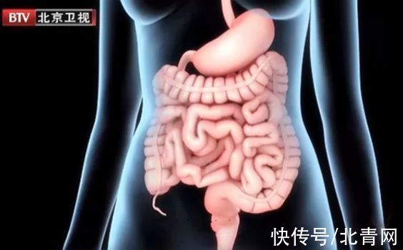 甲亢|各种疾病的早期信号，都在这里了！知道了省钱又救命，赶紧学起来