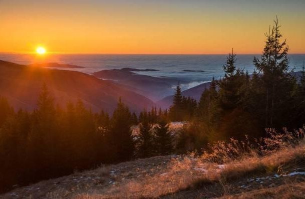 寂寞梧桐深院锁清秋$袁枚的一首五律,前六句看似平淡,最后两句却如奇峰突起