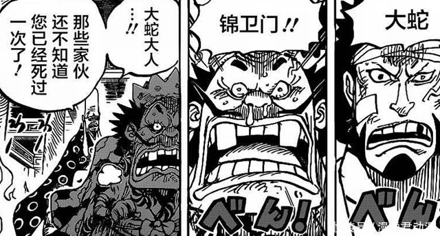 海贼王1009：赤鞘武士斩掉大蛇数颗蛇头，但依然没能杀死他