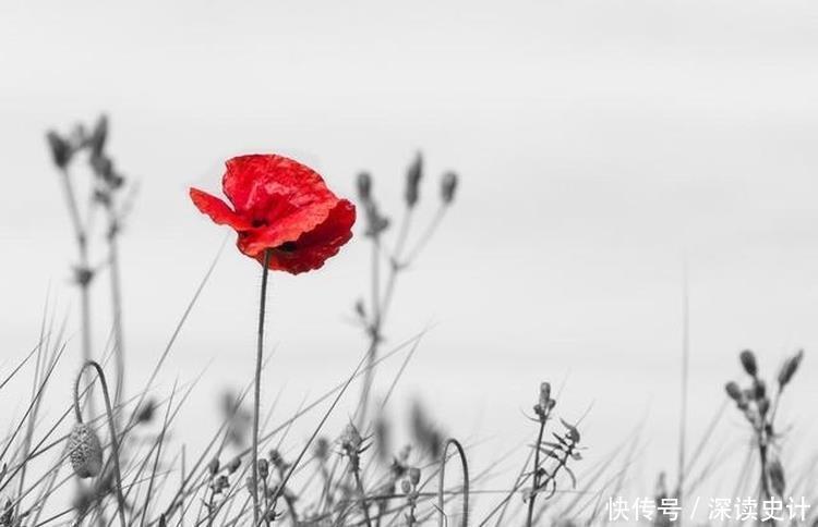 滕王阁序$王勃一首很美的诗,也是达到了诗中有画,画中有诗的境界!