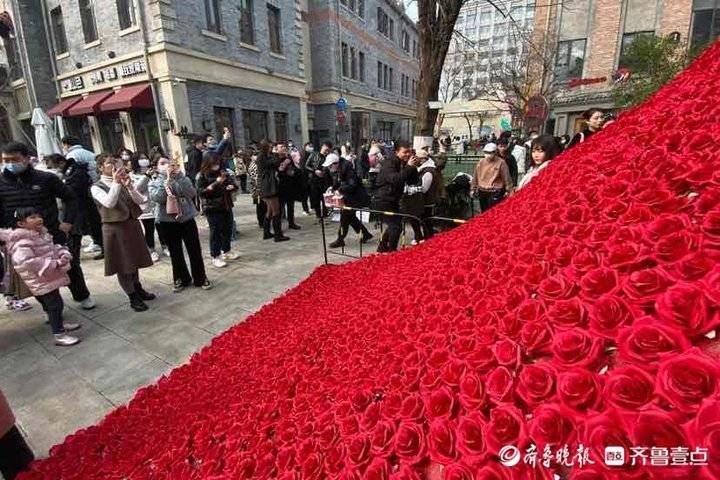 玫瑰花瀑布|太甜了！济南经三路玫瑰花瀑布已就位，俊男靓女快去打卡吧