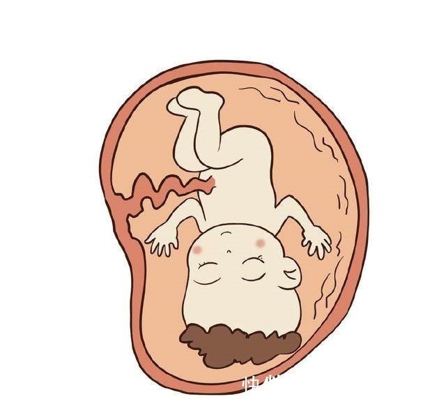 二手烟|孕期四件事影响胎儿智力发育,想生出聪明宝宝就别做了!