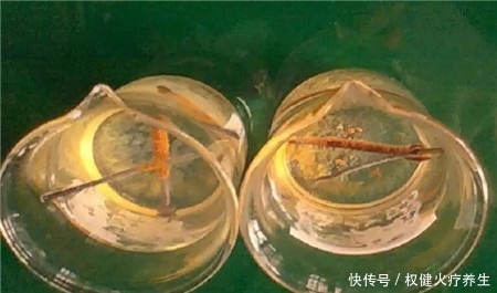 浇水时加点小东西,植物用了呼呼长,连肥料都省了!