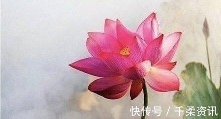 双鱼座|星座界的“三傻”，实则“人精”，想忽悠他们难如登天，从不吃亏