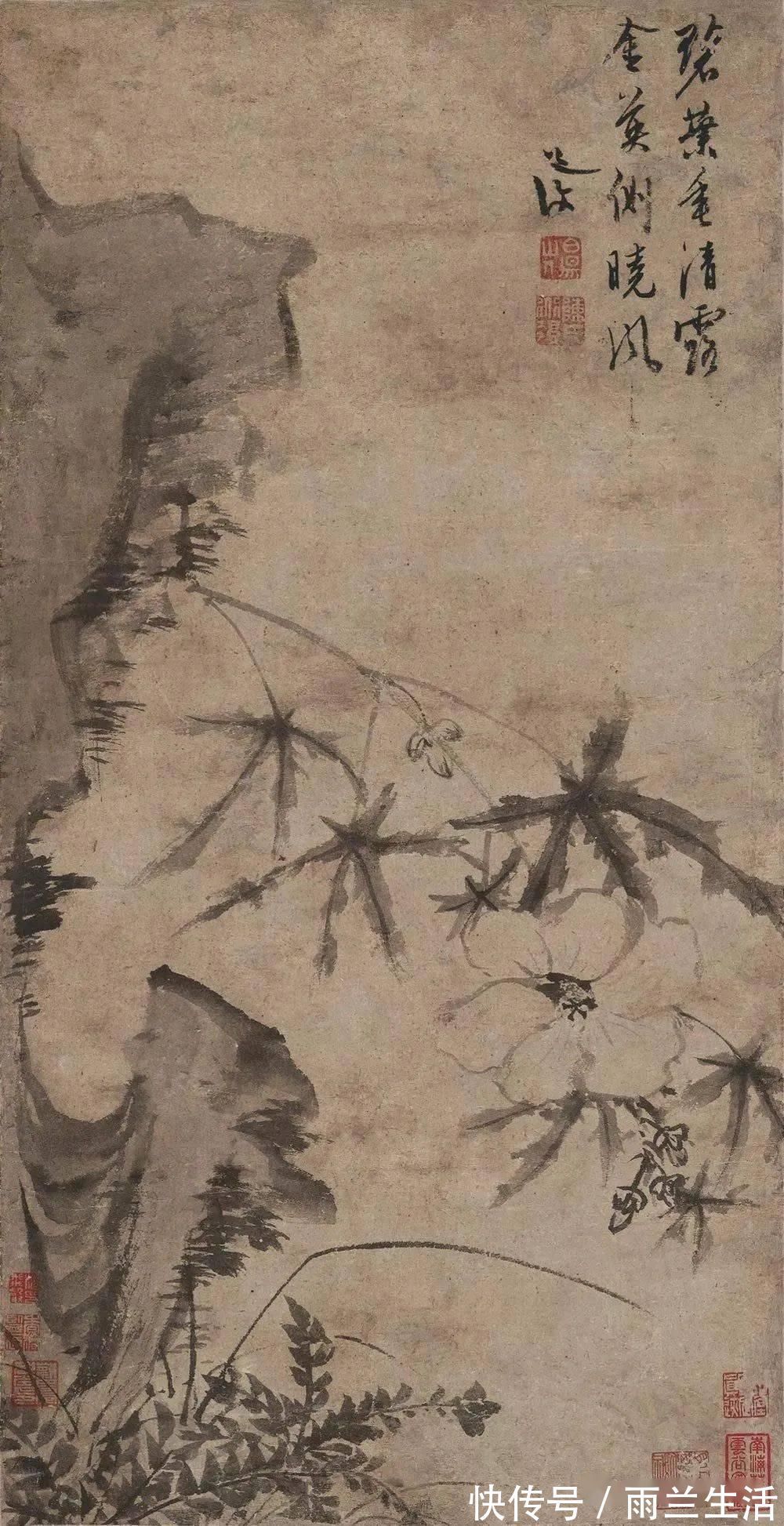 陈淳@与徐渭齐名,这个富二代的一花一世界!