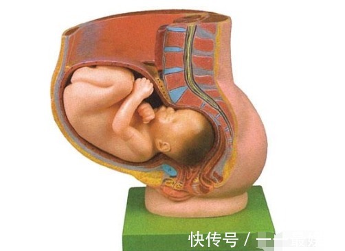 分娩|为什么生孩子有人快有人慢产妇有5几个特征,往往产程会更短