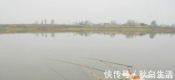 实情|狂拉后却遭到“停口”老渔民说出实情,原来不少钓鱼人都做错了!