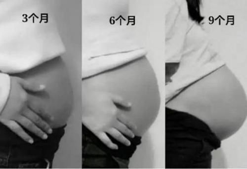 神奇力量|胎儿长得最快和最慢的月份,孕妈注意这几个方面,宝宝发育得更好