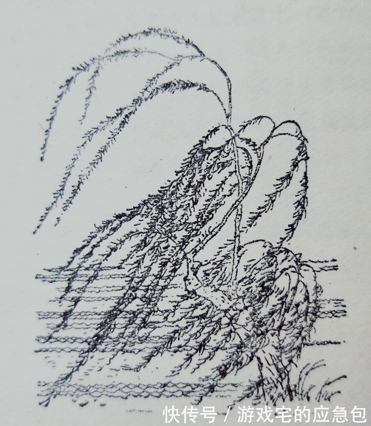 诗人|闲来《咏柳》老《回乡》，谁人不识贺知章｜唐宋绝句欣赏①