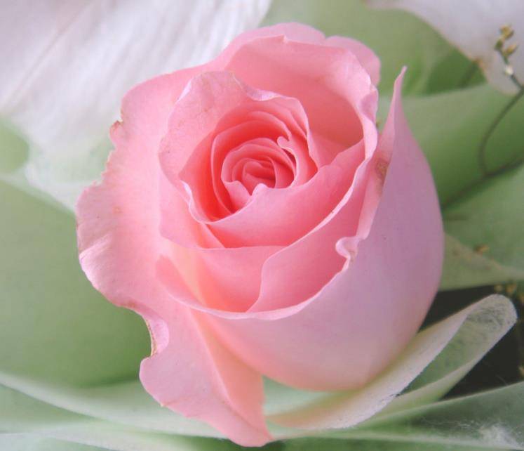 生活质量|恭喜水瓶座两周内,霉运消散,将会有贵人指点迷津