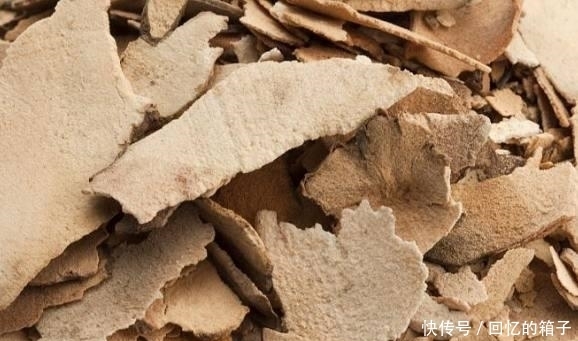 常吃|湿气重百病缠身,常吃这3种食物,排出体内湿毒,无病一身轻!