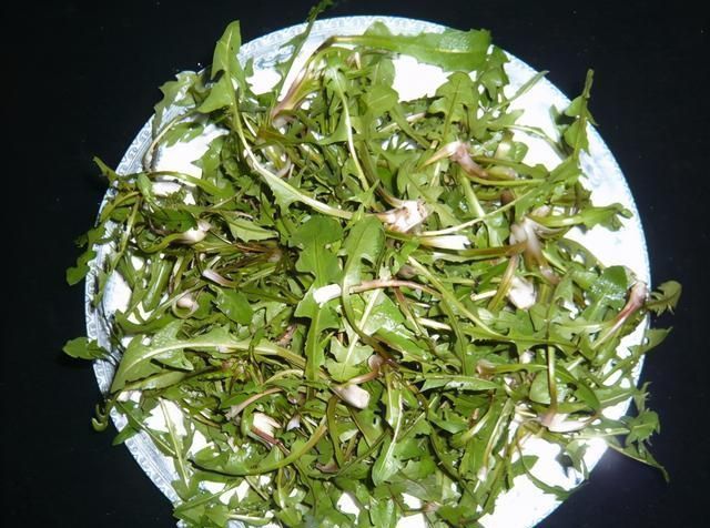 蒲公英泡水能治病?医生:三种“喝法”,只会