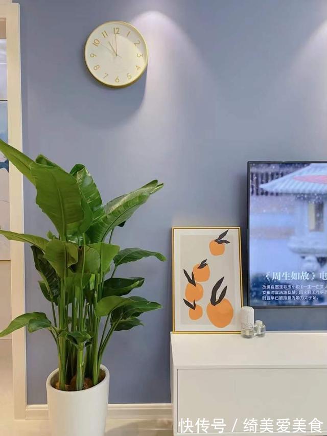 儿媳妇|成都50岁阿姨,因太会布置而走红,把儿子的80㎡婚房装得太治愈了