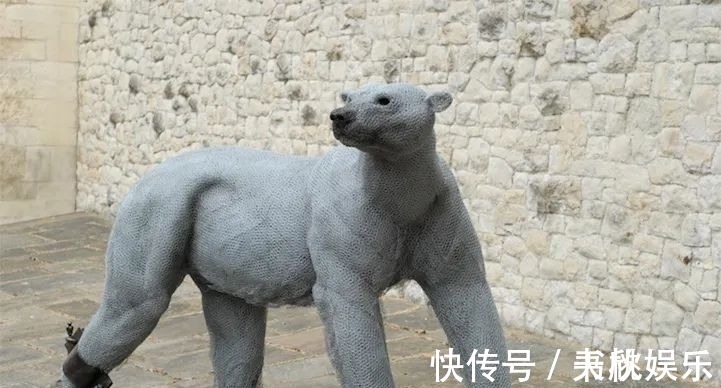 铁丝&她用镀锌铁丝,创作栩栩如生的动物雕塑,逼真程度令人惊讶