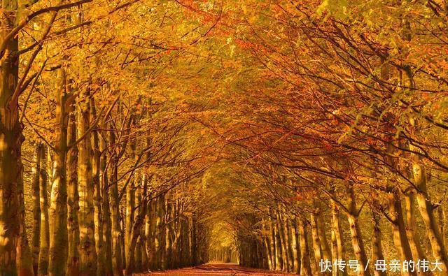 宋词里的秋:晏几道看透秋色、辛弃疾听断秋声、吴文英历尽秋意浓