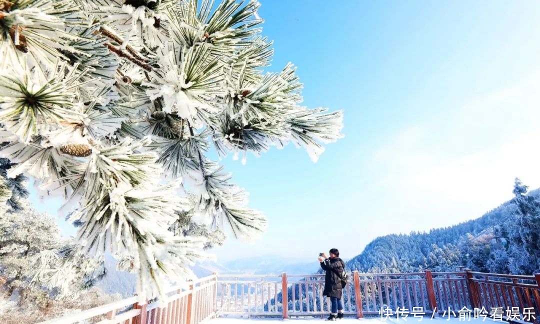 雪景|遂昌大美雪景图！让你一次看个够