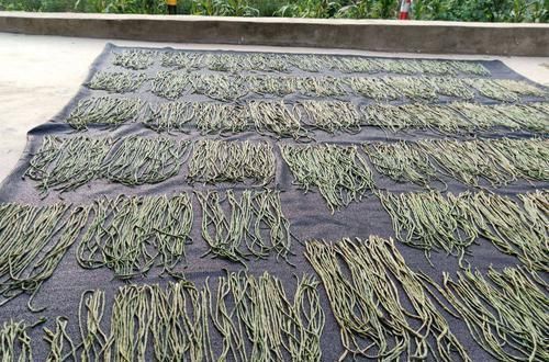 茄子|农村常见的几种晒干越冬菜，美味的食材，如今却有钱买不到