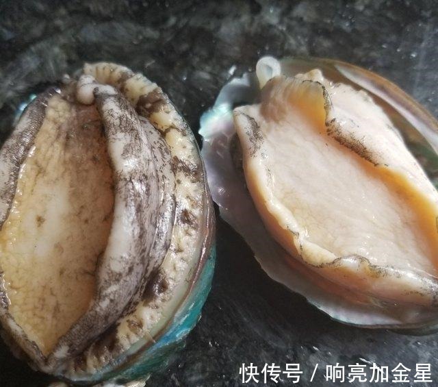 蒜蓉|蒜蓉蒸鲍鱼,蒜香浓郁,鲜美脆口!