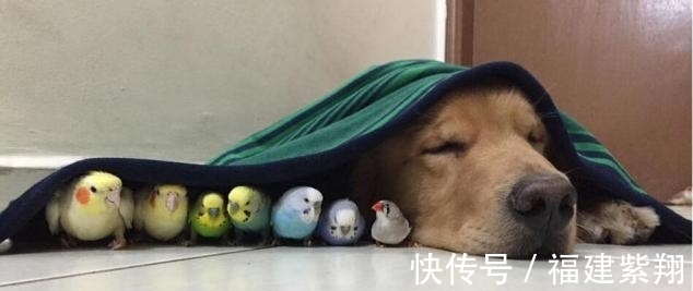 |爆笑段子:今天发工资,给老公打电话:亲爱的,想吃点什么?