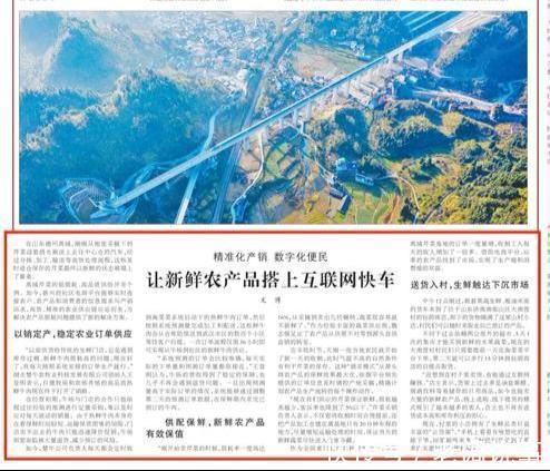 马云|不再惦记几捆白菜人民日报再次肯定阿里,马云你真有一套!