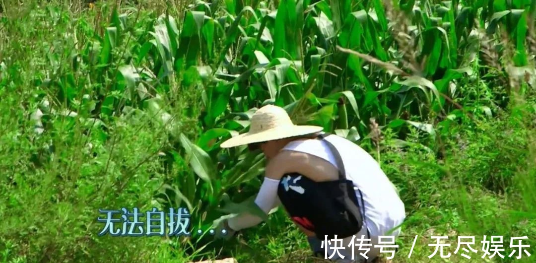 嘉宾重复请、广告太频繁、农活总干不完，被《向往4》劝退